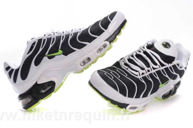 nike tn 2010 meilleurs populaires (2).JPG